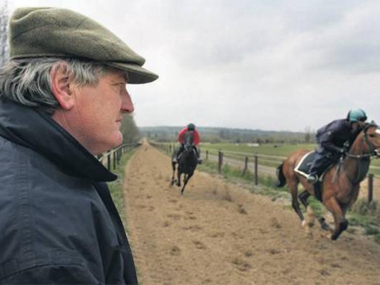 Renowned Co Kildare horse trainer vouches for 'senior man' at Naas