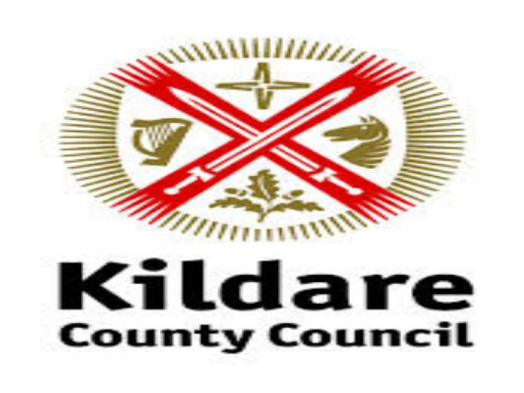 Know a budding artists? Council looking for somebody to design 1916 pin