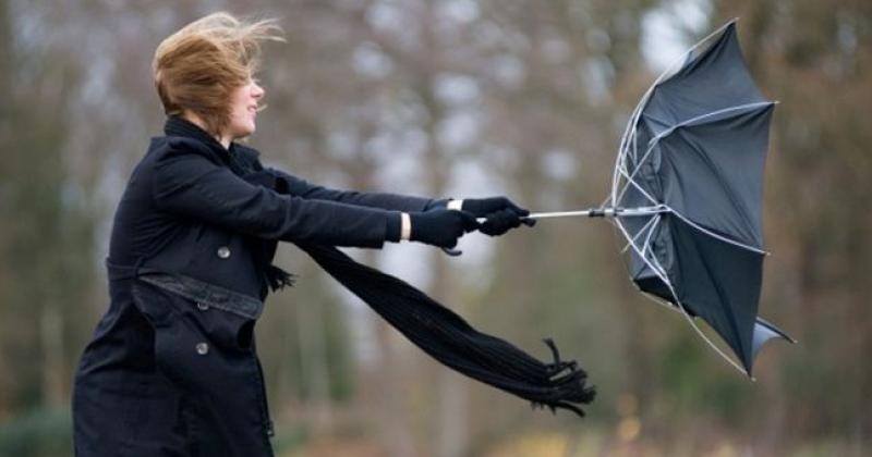 'Distinctly cooler' weather on the way this weekend according to Met Eireann forecast