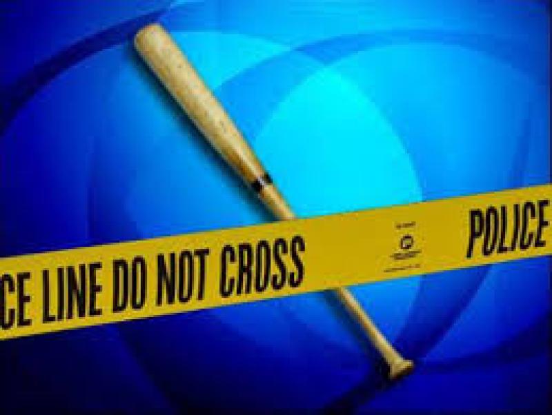 Man was 'running for his life' when killed by baseball bat - court hears 