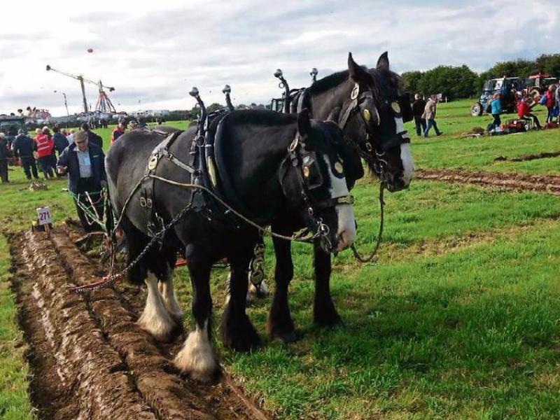 Co Laois venue for next year's Ploughing Championships 