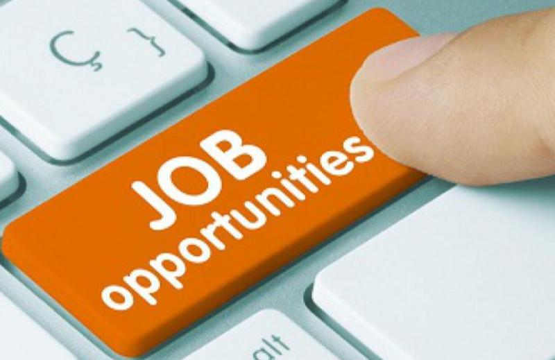 Kildare TD welcomes record job creation by Enterprise Ireland firms in 2021