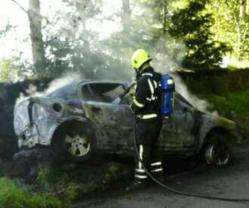 Local firefighters battle car fire near Blessington 