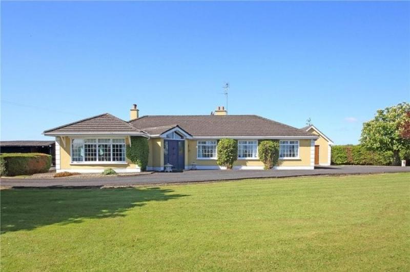 Spacious home in Donadea on over 5 acres with paddocks and art studio for €775K