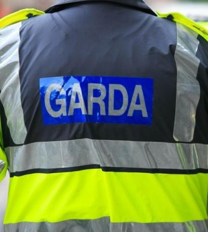 Woman spat beer at Naas gardaí during row with neighbour