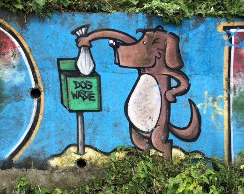 Neighbours who let dog out at night to 'do its business' can be fined