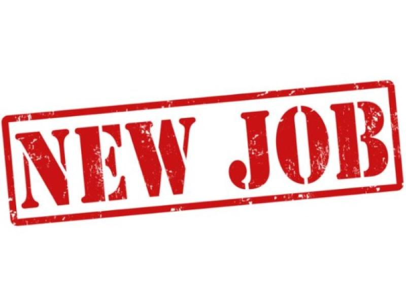 ESB hiring for its Graduate Development Programme 