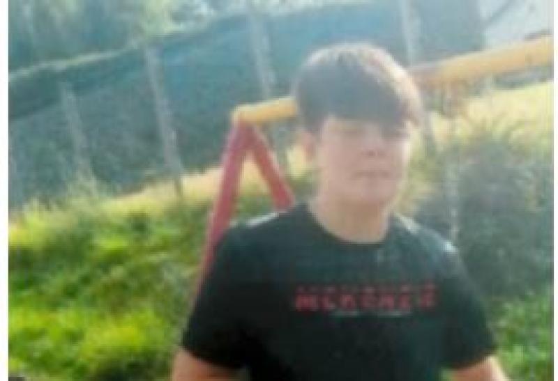 Gardaí seek public assistance in finding Wexford youth (13) 