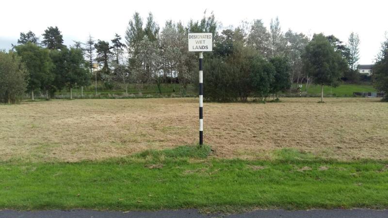 Kildare resident angered at grass mowed in designated wet lands area