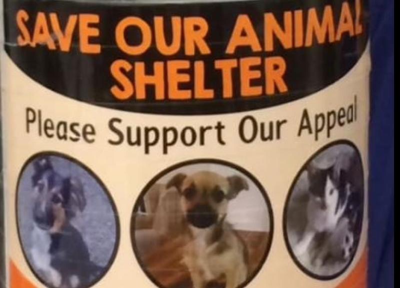KWWSPCA await An Bord Pleanála’s decision on Athgarvan shelter