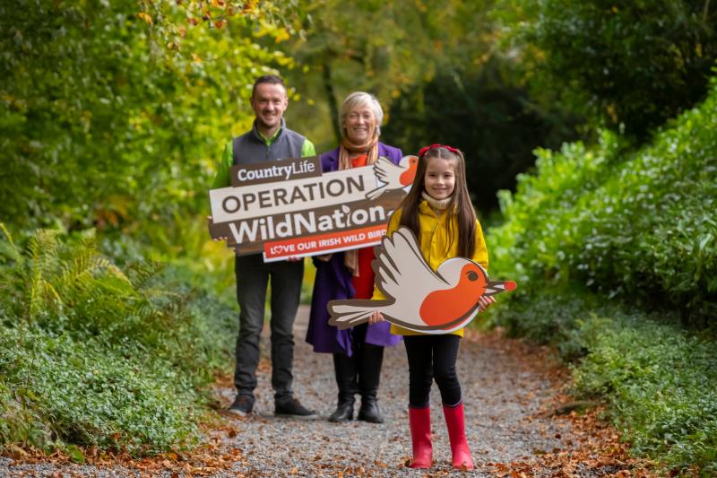 Operation WildNation to drive Kildare pupils wild