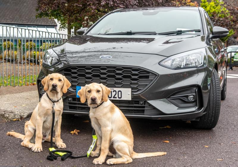 Kildare Branch of Irish Guide Dogs for the Blind targeting €1 million mark with Ford Focus Car Raffle