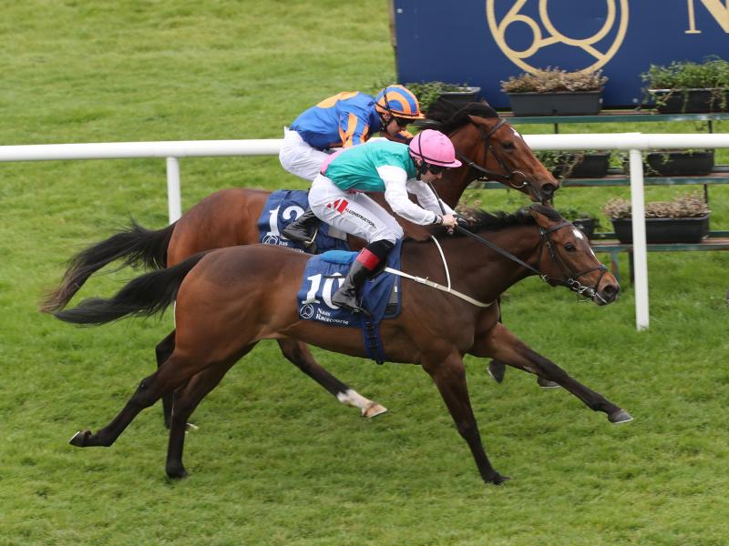 Champions to be crowned at naas