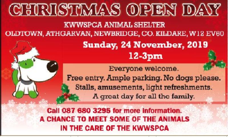 KWWSPCA animal shelter to host Open Day on Sunday next 