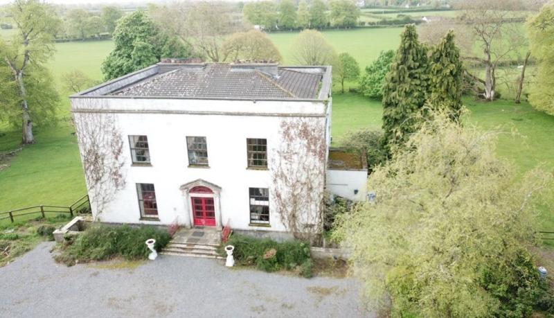 Contents of famous historical Kildare house go for auction