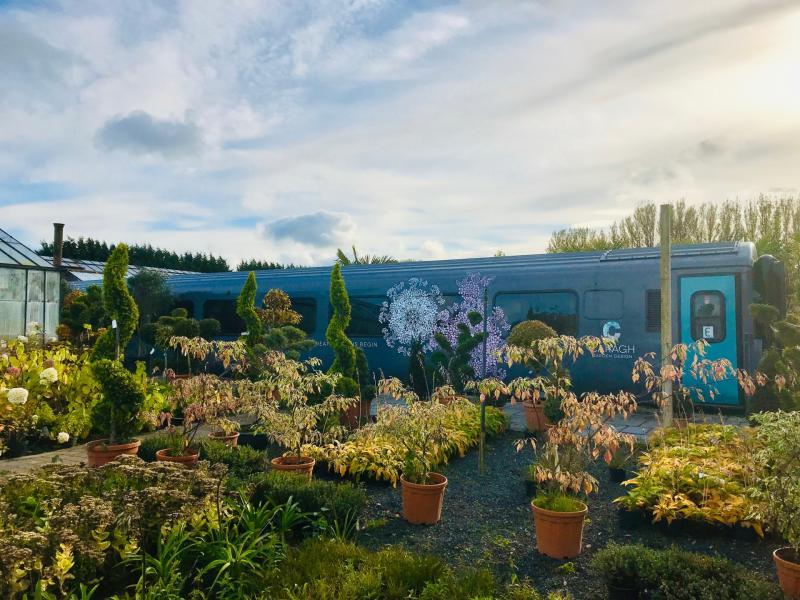 New Year, new garden - maximise your outdoor space!