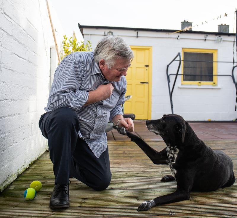 Dogs Trust Ireland launch re-homing campaign to find 'forever homes' for dogs