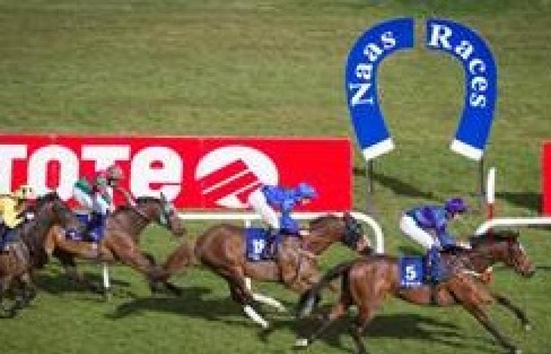 Kildare racing: Increased Tote sponsorship boost for Naas