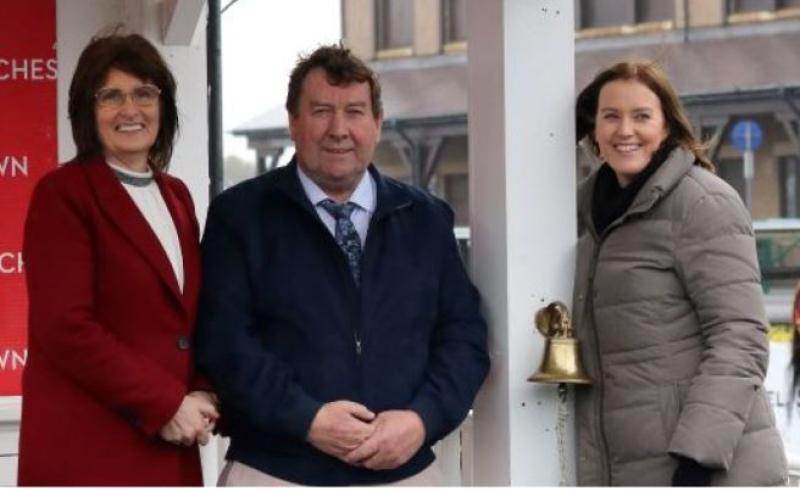 Vista in good health for Punchestown Festival 2020