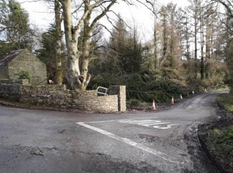 Cllr welcomes road markings at dangerous rural road junction