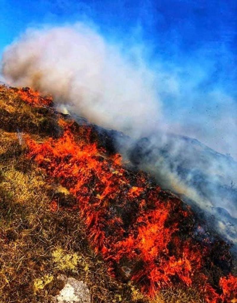 Concern in relation to gorse fire dangers in Donegal due to dry weather