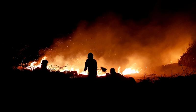 Louth fire service called out to nine ‘serious’ gorse fire in four days in Cooley