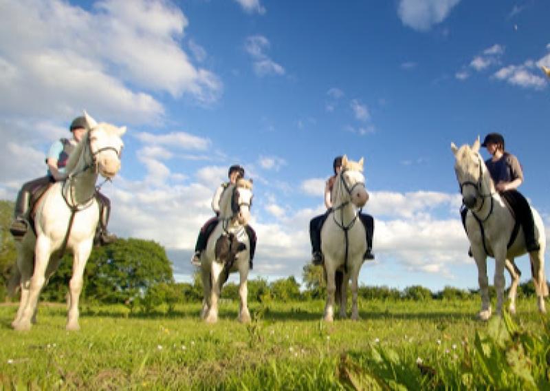 A new equestrian centre is coming to Kildare town Kildare Now