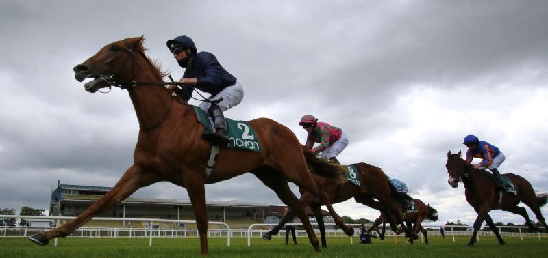 Harrington chalks up two more wins