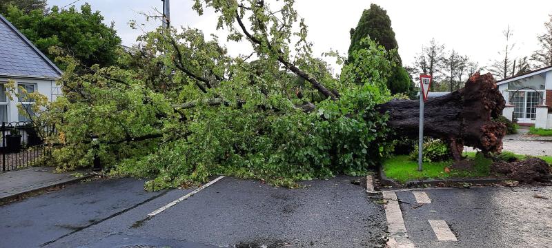 Kildare remains under Weather Warning with tail end of Storm Barra 