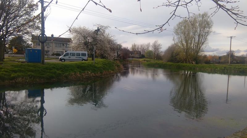Car free canal in Naas is proving popular and will be extended