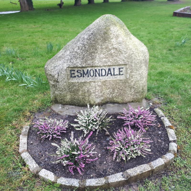 Flooding in Naas estate