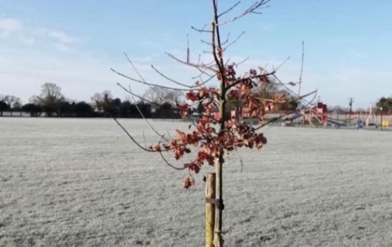 Local community raising funds to help maintain Kildare park and playground