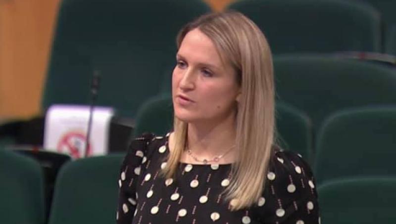 Minister for Justice must act immediately to increase number of refuge spaces — Kildare councillor