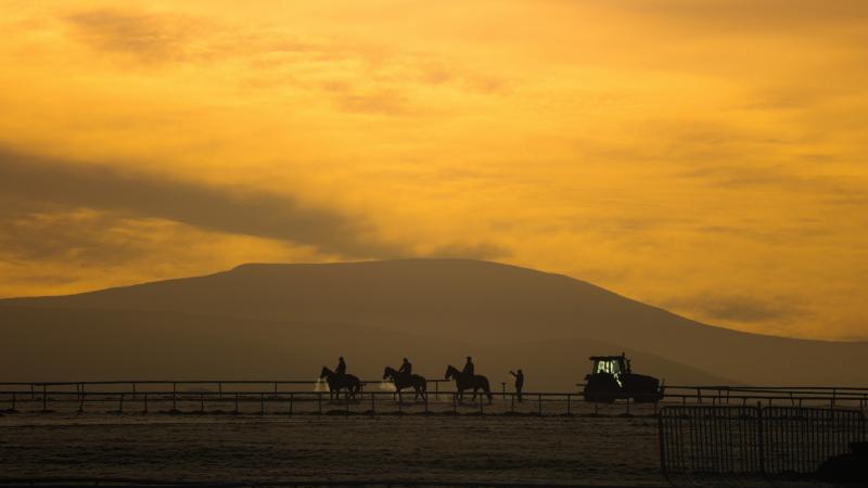 "Nature has power to move us in hard times" - photographer up at dawn every day during Covid-19