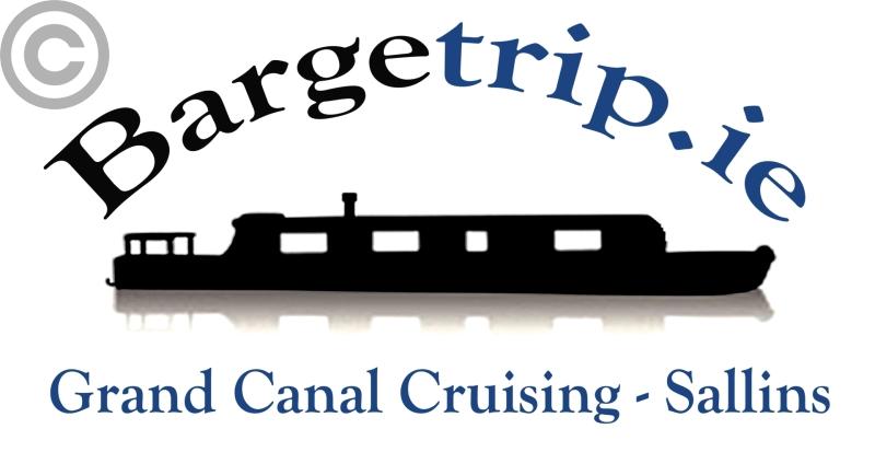 Sallins-based Bargetrip.ie offers a great post-lockdown day out for all the family!