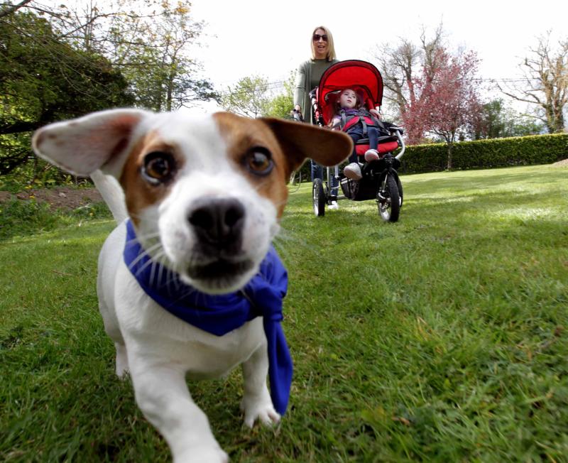 Public urged to get walking as carers'  hardship fund runs out