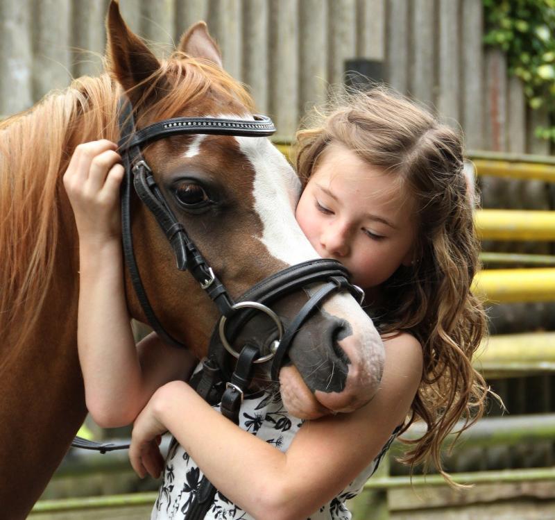 Equine Assisted Counselling can be very effective