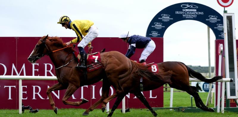 Pic: Ruth Murphy, The Curragh Racecourse