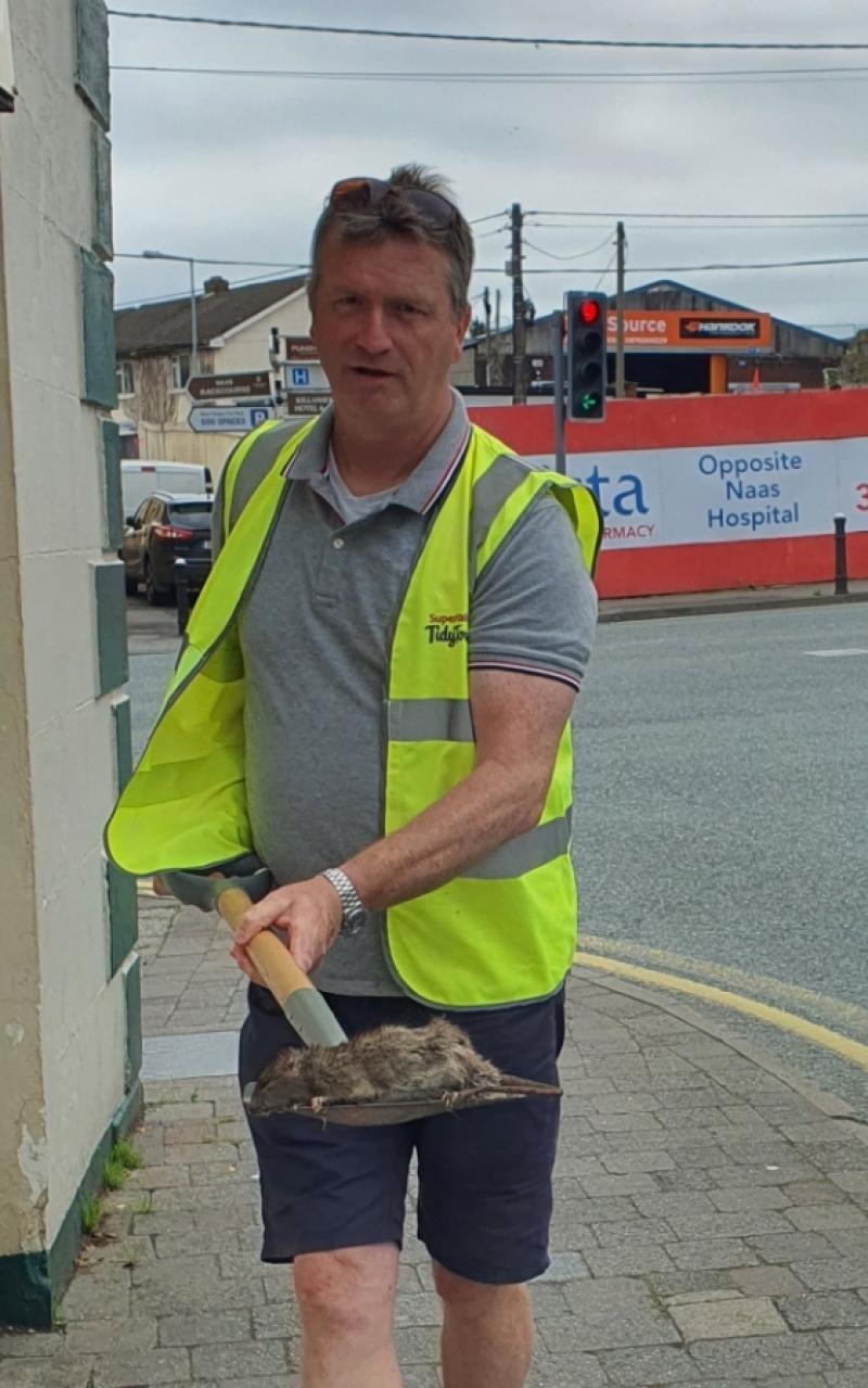 Naas councillor removed dead rat from outside coffee shop