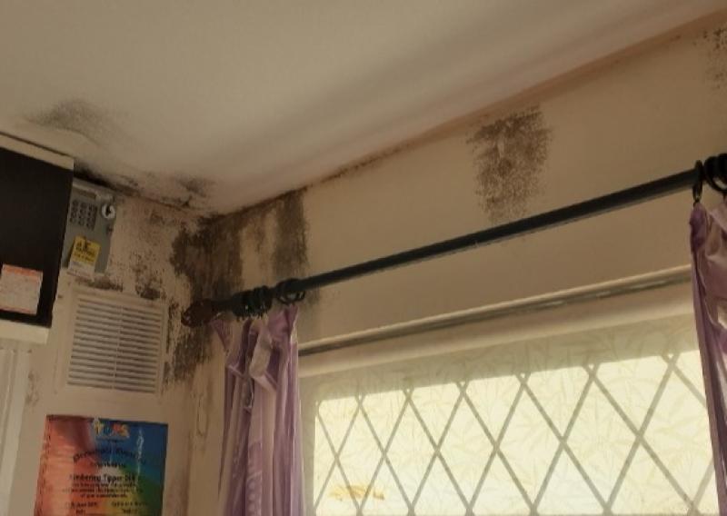 Mould in house