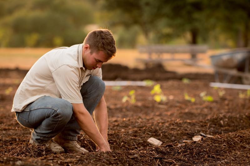 Young farmers group wants extra €310m on top of multi-billion euro CAP budget