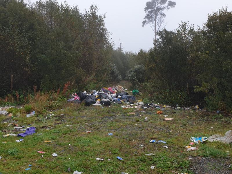 Pic Supplied: Illegal dumping in Carbury