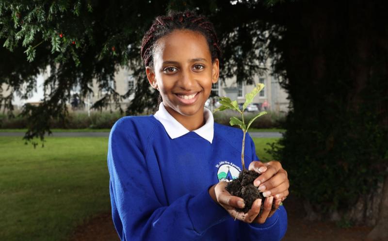 Pic Supplied: Sophie Scully (11) from Galway, pictured at Ireland’s oldest tree