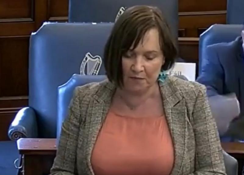 Pic: Senator Fiona O' Loughlin via Facebook, Seanad Eireann
