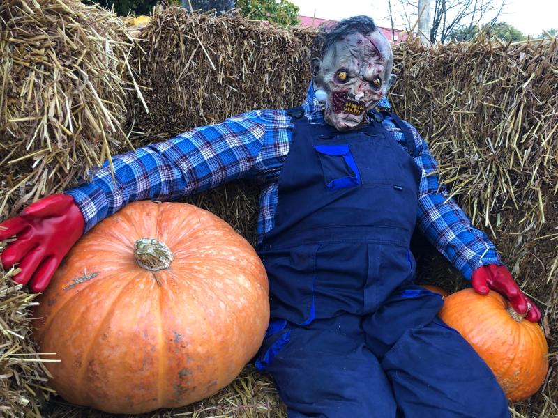Spook-tacular line-up for Halloween Festival in Kildare town 