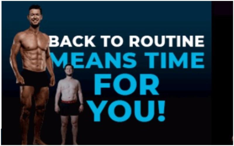 Trainer to the stars based at Naas