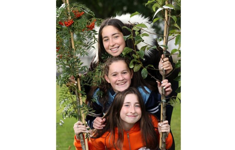 Kildare schoolchildren helping to plant thousands of trees as part of worldwide initiative &nbsp;