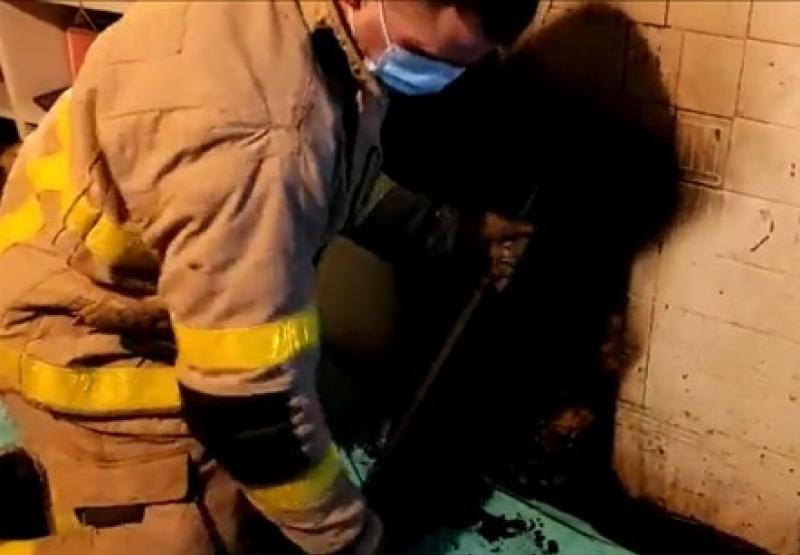 Warning not to put wrapping paper in the fire 