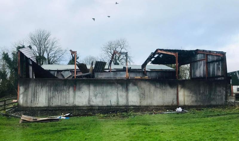 Offaly family appeal for information following arson attack on their farmyard