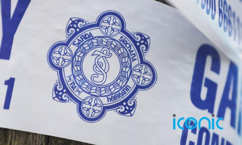 Gardai appeal for witnesses to fatal single-vehicle collision in Roscommon